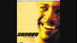 Download lagu Shaggy - Why me lord mp3