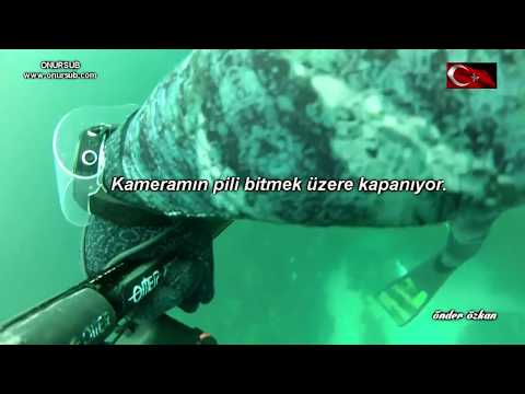 TAŞALTI LEVREK AVLARI