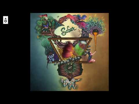 Shadow and Light - "Dilruba"