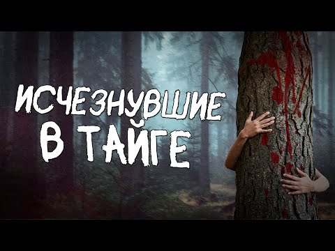 Tragedy in the Komi Forests (a journey to the Obdyrsk hermit village)