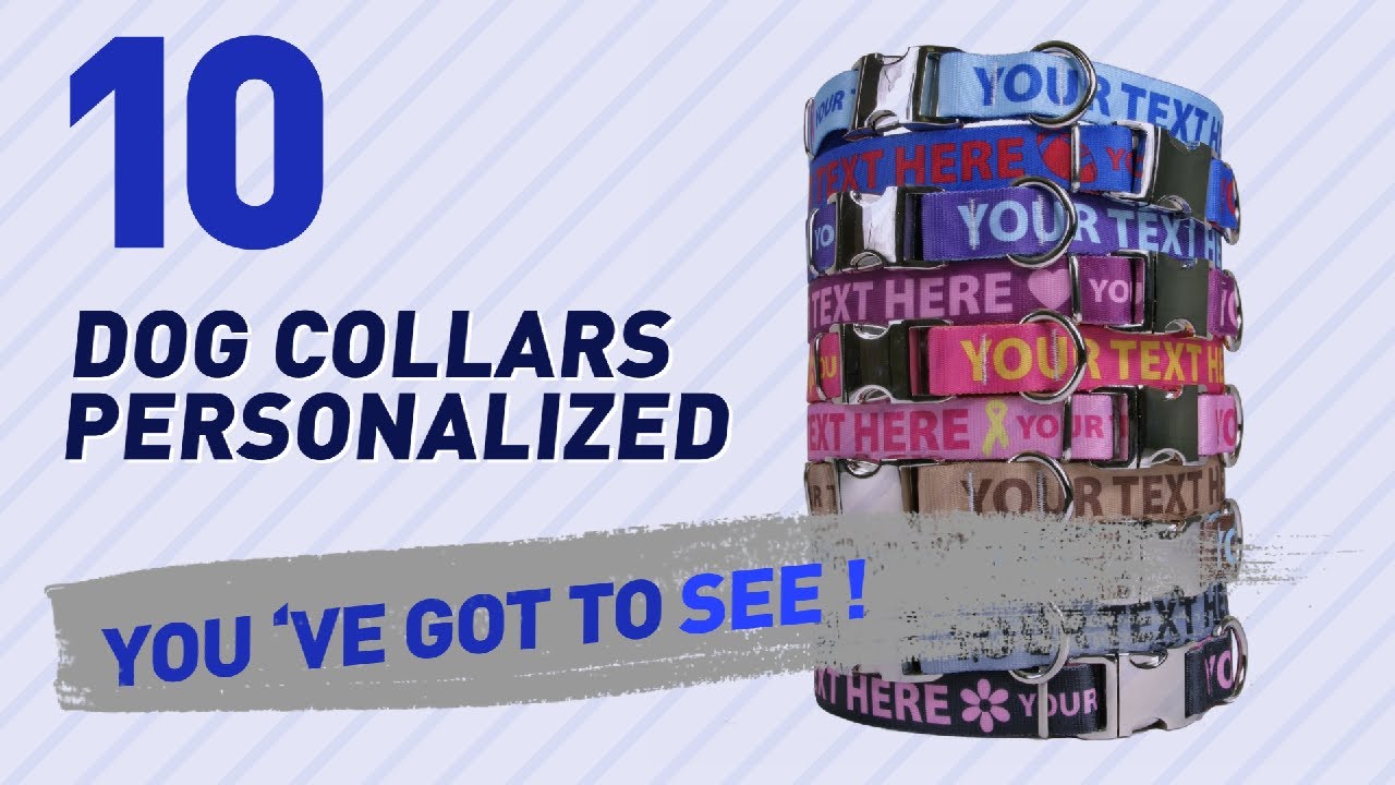 Dog Collars Personalized // Top 10 Most Popular