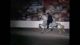 Ironwork Tin Man &amp; Steve Jones 2008 TWHNC