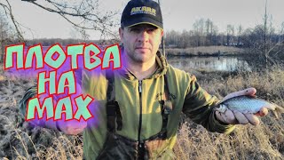Ловля плотвы весной на фидер в белоруссии