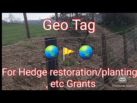 How to take "Geo tag" pictures on a Samsung Galaxy phone for grants