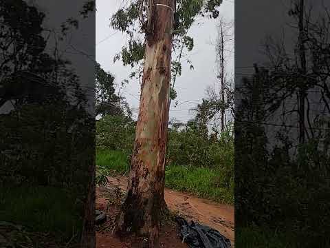 Itapecerica da Serra são Paulo Brasil