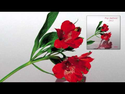 Morek - Pan 'Pop Ambient 2012' Album