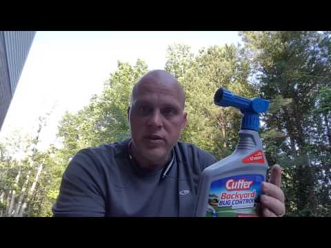 image-Will mosquito spray kill gnats?