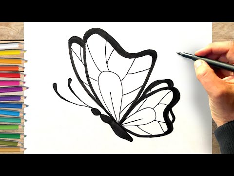 Tuto dessin papillon facile à faire, comment dessiner un papillon facilement etape par etape