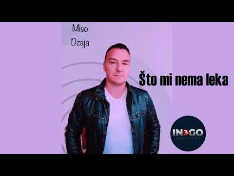 Mišo Mijailović - Što mi nema leka