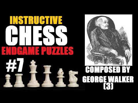 Endgame Chess Puzzle by George Walker #7