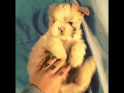 Angels Da Raquel Savinon -  "cócegas"