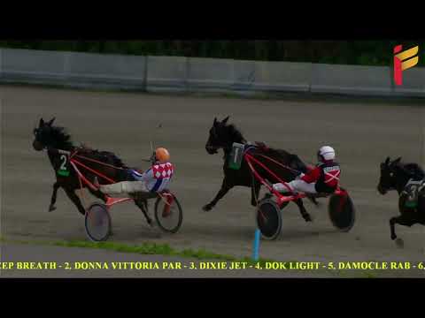 I Corsa del 1 Febbraio 2022 - 3 Anni - Metri 2000