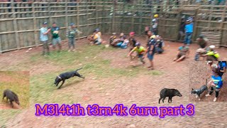 Download lagu M3L4TIH TERNAK DI TEMPAT K0NT35 CIMARA SUMEDANG mp3 Download lagu M3L4TIH TERNAK DI TEMPAT K0NT35 CIMARA SUMEDANG mp3