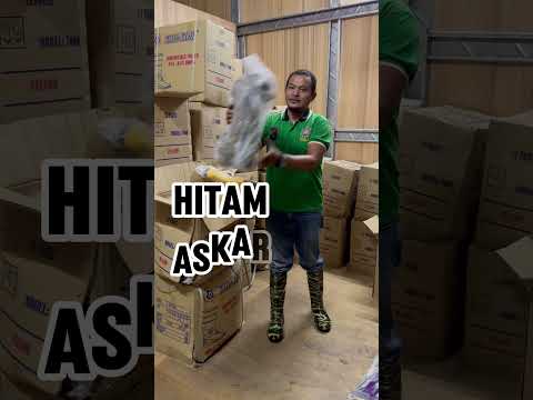 KORAKOH PVC Rain Footwear 