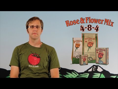 video_thumbnail2