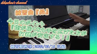 【大人から始めたピアノ初心者の練習動画】昴④