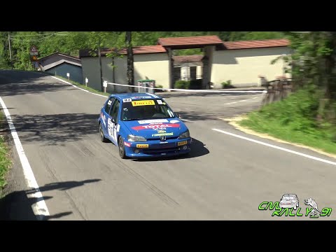 27° RALLY INTERNAZIONALE DEL TARO 2021 CLIP #87 Bertoli - Guarnieri by CMRALLY_91