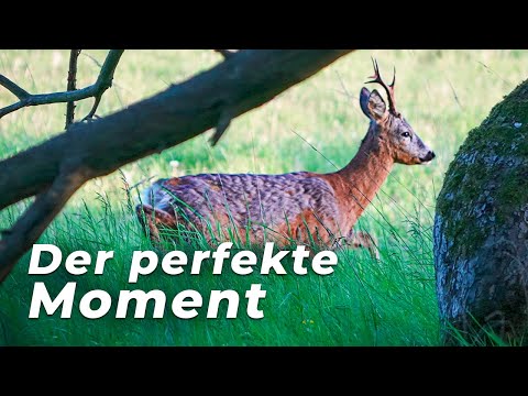 BOCKJAGD – Der Film · Echt. Ehrlich. Erfolgreich.