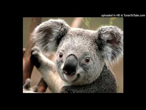 Bob Marley feat. LVNDSCAPE feat. Bolier - Is This Love (Extended Mix) [pesnik.su]