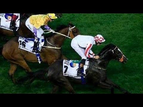 2015 Al Quoz Sprint G1 - Sole Power (獨掌全權) - R Hughes (幸福指數出頭早後上被擒屈居亞軍)