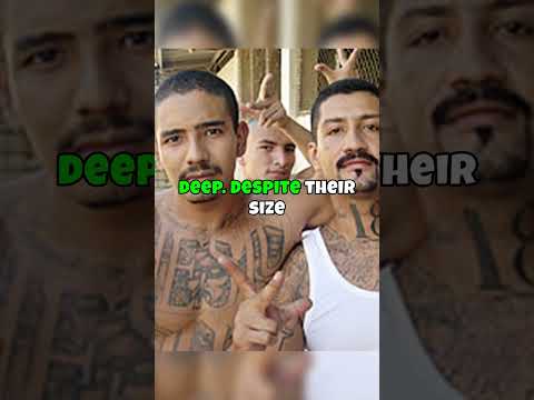 The Top 10 Sureno Gangs Closely Tied to the Mexican Mafia in 2025 | Deep Dive