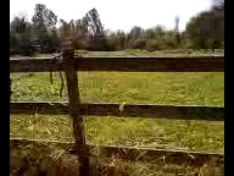 Arrow out of 410 into a phone book.