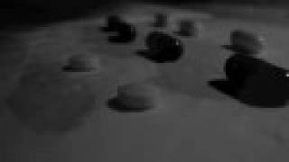 From a shell - Lisa Germano