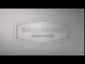 Bald Fade Productions Augenblick Studios Whalerock Industries Williams Street 2017