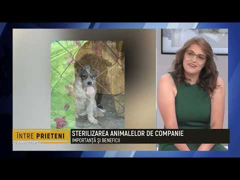 Intre Prieteni - Alexandra Oprea, Mihaela Balasca - 12 August 2022 - Partea 2 | MetropolaTV