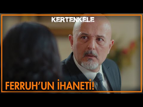 Zampara Ferruh! - Kertenkele