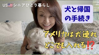 USシニアひとり暮らし/犬連れ日本帰国とお出かけマナー