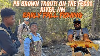 PB Brown Trout On The Pecos River, New Mexico| Early Fall Trout Fishing #flyfishing #newmexico