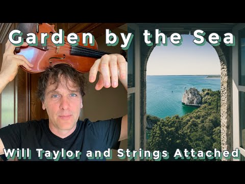 Play Video Youtube Video