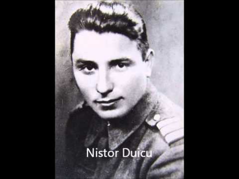 Rezistenta anticomunista in Muntii Banatului - Marturii Petru Duicu - Domasnea