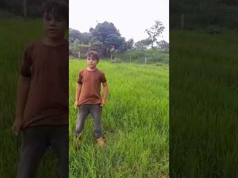 kauã na fazenda boca da onça são Félix do coribe bahia