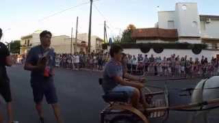 preview picture of video 'Sfilata Cavalli Carri e Carrozze   17 agosto 2014'