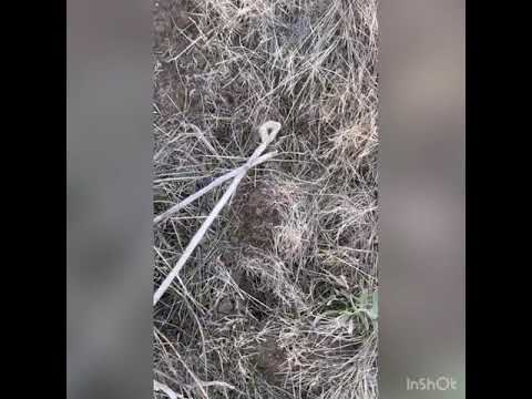 Safar Black Diamond Minds Regional preserve   United States Gardeshgari  طبیعت گردی  گردشگری با من