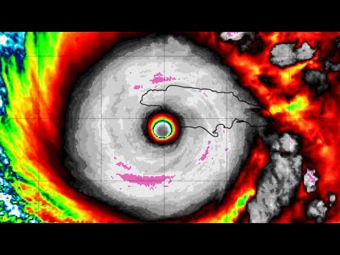 CHASING CAT 5 MELISSA IN JAMAICA - Recap and Charity Stream