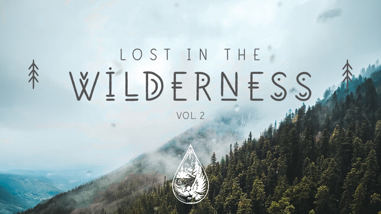 Lost In The Wilderness ↟ • An Indie/Folk/Alternative Playlist | Vol. 2