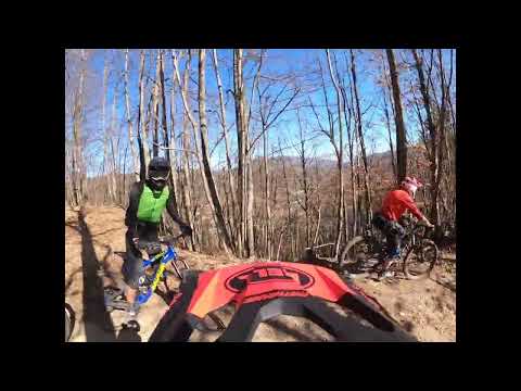 De Lellis 💅 - Coggiola