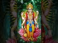 Lord Vishnu WhatsApp Status Hari Om Om Namo Narayanaya Vishnuji Status Devotional Status
