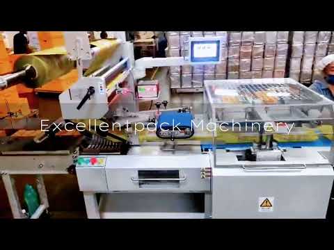 Successful Commissioning Box Motion Horizontal Packaging Machine - Servo Motor -