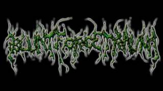 Brutal Death Metal And Goregrind Compilation Part 5