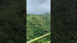 Download lagu Lokasi syuting film KKN Desa Penari #desapenari #fyp #horror #creepy mp3 Download lagu Lokasi syuting film KKN Desa Penari #desapenari #fyp #horror #creepy mp3
