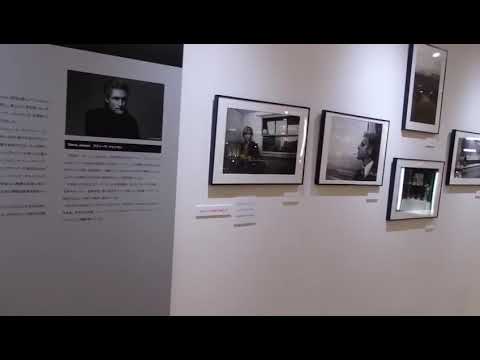 Steve Jansen /Through A Quiet Window