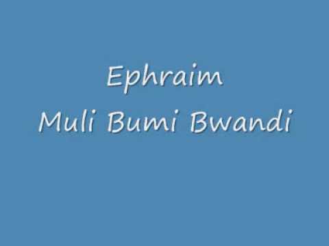Ephraim Muli Bumi Bwandi