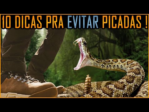 Picada de Cobra - 10 Dicas pra Evitar! (Vc Precisa Saber!)