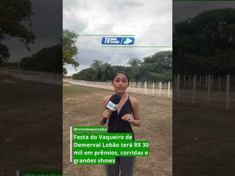 Demerval Lobão realiza no dia 30 de julho Festa do Vaqueiro.