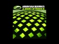 Andrew Rayel - Globalization on ASOT 506 by Armin ...