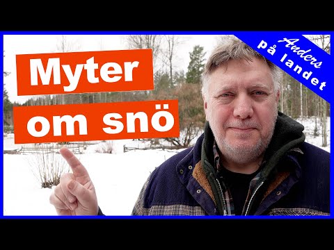 Blir snö verkligen tyngre av regn?